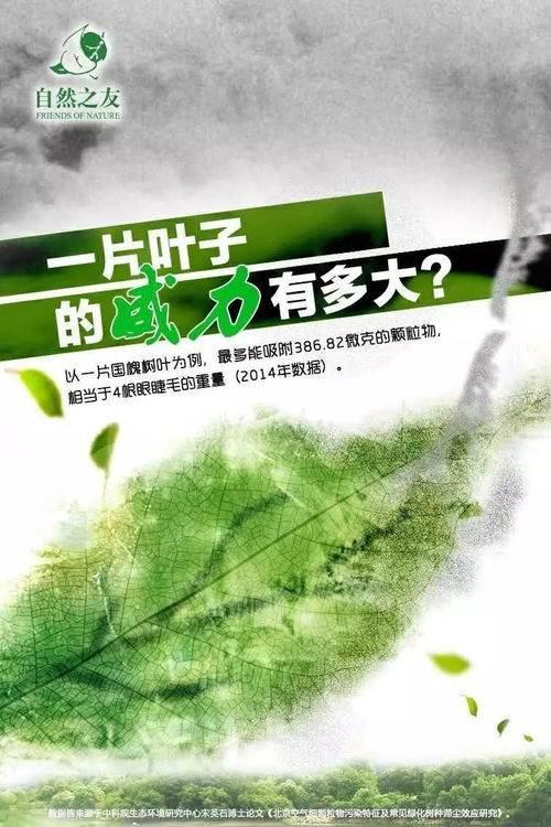 像对待生命一样对待生态环境——探讨环保项目的有效传播路径与生态环境材料实践