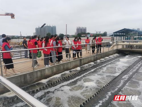 六五环境日 全省生态环保组织巡河护水，鸟类影展共绘生态画卷